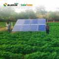 Bluesun solar nedsenkbart vannpumpesystem AC-pumpe og kontroller for hagegårdsvanning