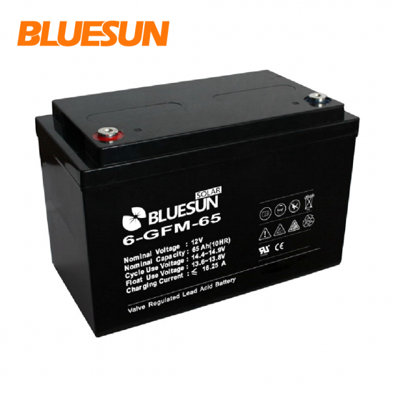12V 65ah AGM electric cells and batteries