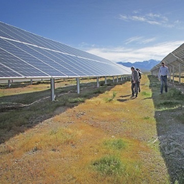 En ørken solar farm kan faktisk forbedre ørkenen habitat-skilpadden