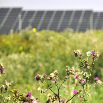 solenergi vil drive fremover for å tilby 20% mer ytelse for 25% lavere modulkostnader i løpet av 15 måneder