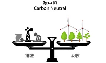 Efforts to promote the achievement of carbon peak and carbon neutral goals